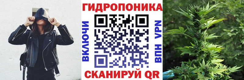 Где купить наркотики Анива КЕТАМИН Гашиш Бошки Шишки