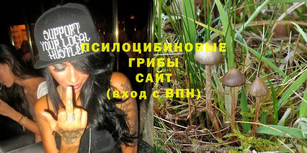 винт Алексеевка