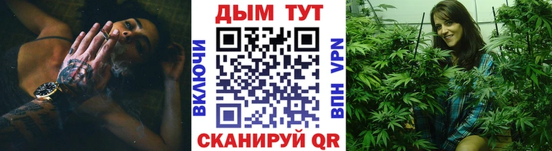 Каннабис планчик  Анива 